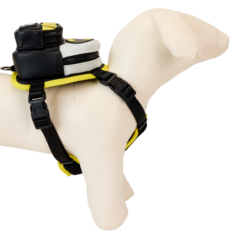 DCCPDH0001-LFDCCOMICBATMANMINIBACKPACKHARNESS0014-1.png